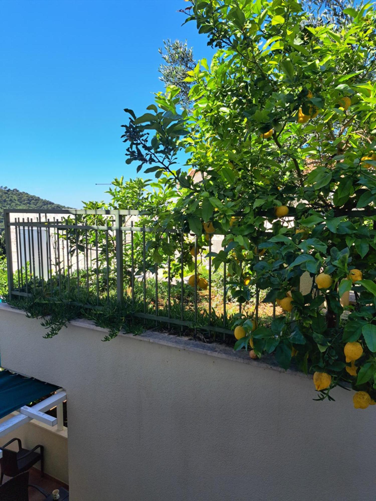 Margaretic Apartment